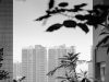 chongqing-city-5175
