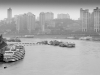 chongqing-city-5190